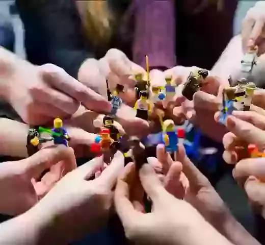 Meet The Team